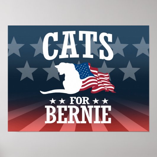 CATS VOOR BERNIE SANDERS POSTER (Voorkant)