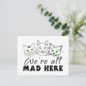 Cats - We zijn allemaal Mad Hier Briefkaart (Staand voorkant)