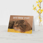 CATS WEET DAT STUFF Wisdom goed wordt Kaart (Gele Bloem)