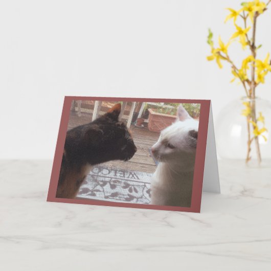 Cats Welkom Kaart (Gele Bloem)