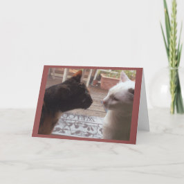 Cats Welkom Kaart
