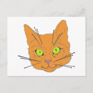 Cat's Whiskers Briefkaart