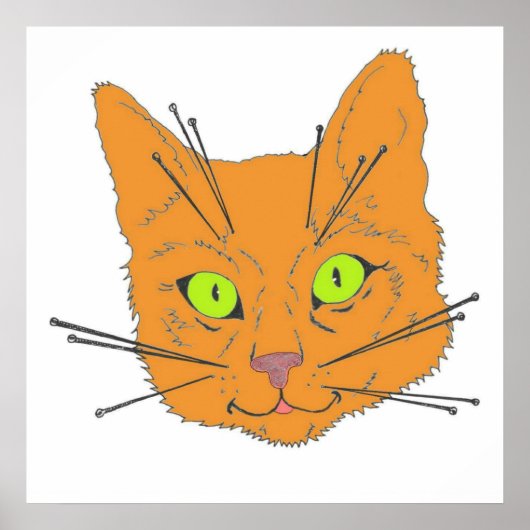 Cat's Whiskers Poster (Voorkant)