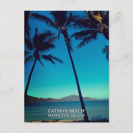 Catseye Beach, Hamilton Island Briefkaart (Voorkant)
