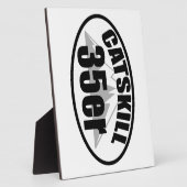 Catskills 35er fotoplaat (Zijkant)