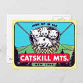 Catskills Mountains, Briefkaart van New York (Voorkant / Achterkant)
