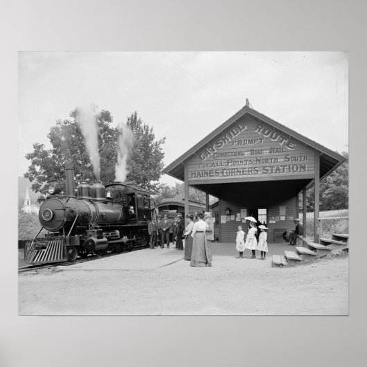Catskills Railroad Station, 1902.  foto Poster (Voorkant)