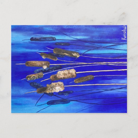 cattail briefkaart (Voorkant)