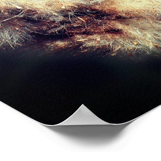 Cattail Fluff Close Poster (Hoek)