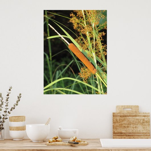 Cattail op Sunset Poster (Keuken)