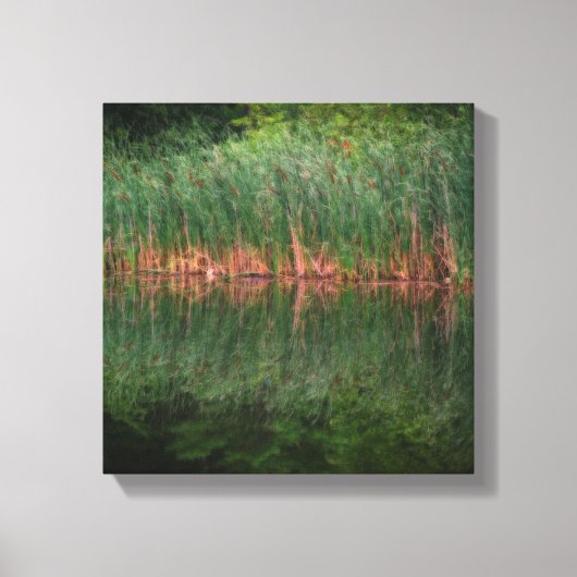 Cattail Reflections in Pond Orton Effect Canvas Afdruk (Voorkant)