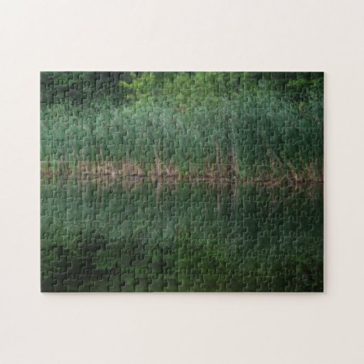 Cattail Reflections in Pond Orton Effect Legpuzzel (Horizontaal)