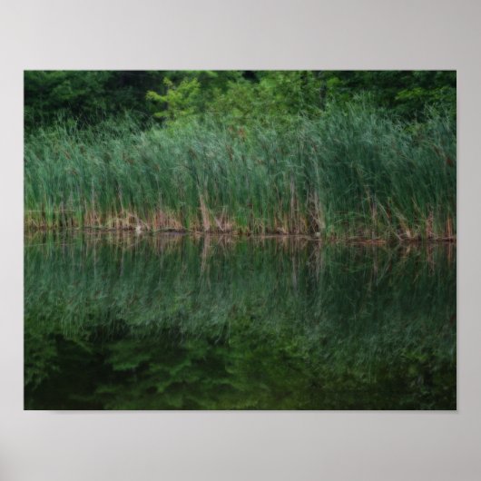 Cattail Reflections in Pond Orton Effect Poster (Voorkant)