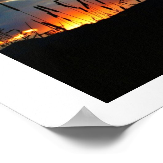 CatTail Sunrise Poster (Hoek)