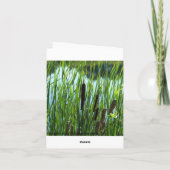 Cattails bij de Vijver, Sympathie Kaart (Achterkant)