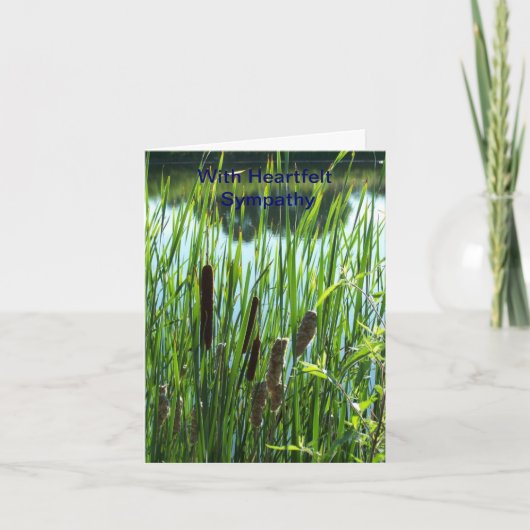 Cattails bij de Vijver, Sympathie Kaart (Voorkant)