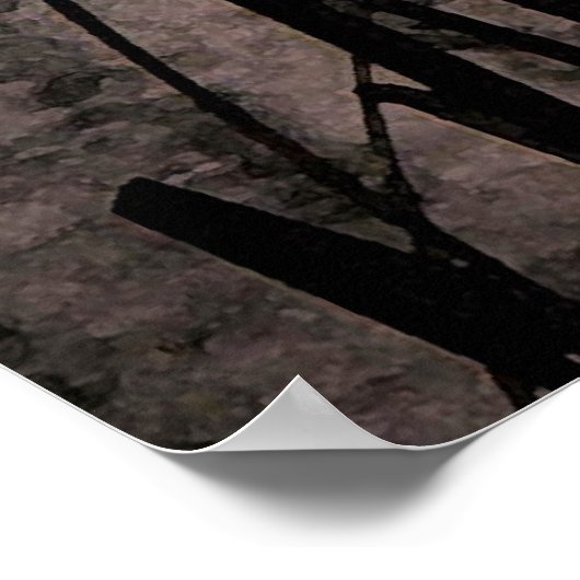 Cattails bij zonsondergang poster (Hoek)