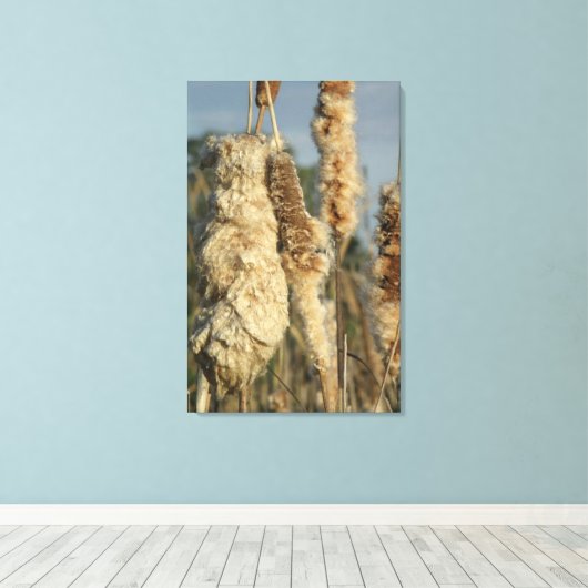 Cattails Canvas Afdruk (Insitu (Houten vloer))