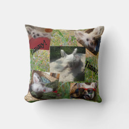 Cattails en schattige hond kussen