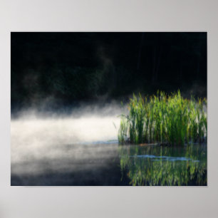 Cattails in de mist op een hangorton poster