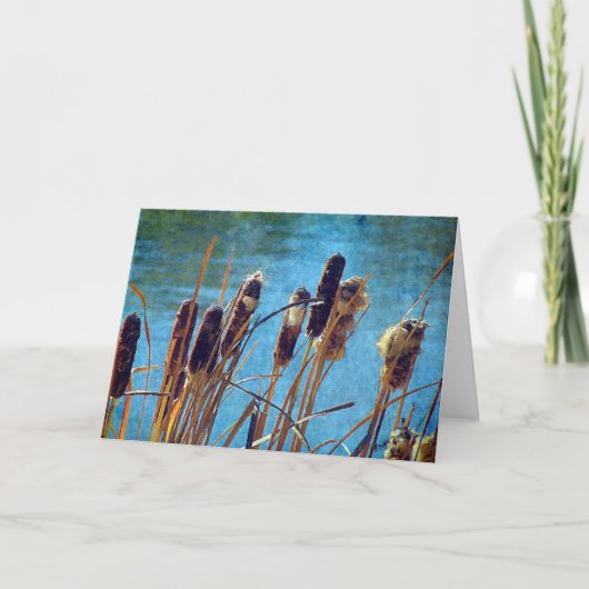 Cattails op de Pond Kaart (Voorkant)