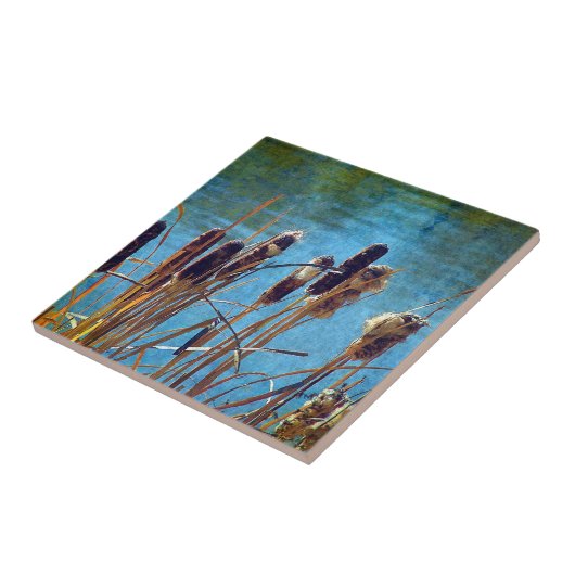 Cattails op de Pond Tegeltje (Zijkant)