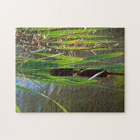 Cattails op de rivier legpuzzel (Horizontaal)