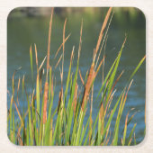 Cattails op het fotografische meer van het Waterfr Kartonnen Onderzetters (Voorkant)