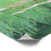 Cattails Pond Reflections Photo Painting Poster (Hoek)