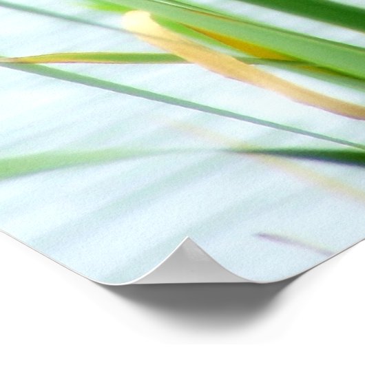 Cattails Poster (Hoek)