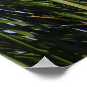 Cattails Poster (Hoek)