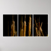 Cattails Poster (Voorkant)