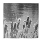 Cattails van de Pond in zwart-wit Tegeltje (Voorkant)