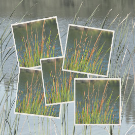 Cattails Waterfront Fotografisch Meer Servet