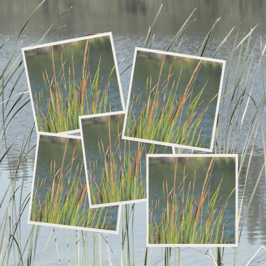 Cattails Waterfront Fotografisch Meer Servet