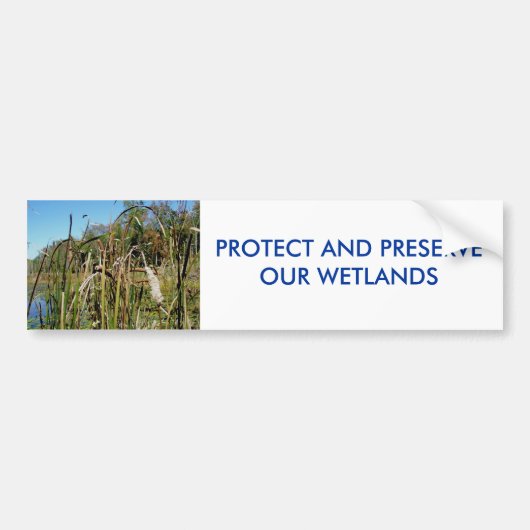 Cattails WETLANDS Bumpersticker (Voorkant)