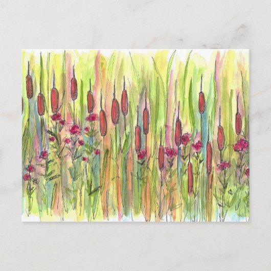 Cattails Wildflowers Meadow Waterverf Tekening Briefkaart (Voorkant)