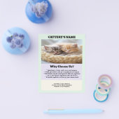 Cattery Flyer Chic en eenvoudig (Enkel)