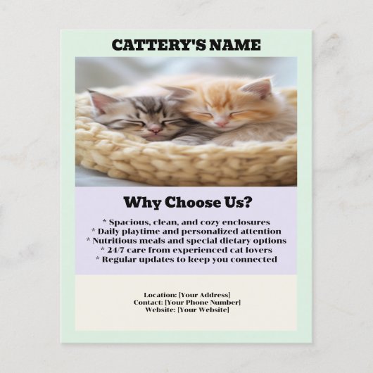 Cattery Flyer Chic en eenvoudig (Voorkant)
