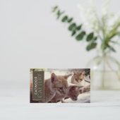 Cattery, huisdier-instapservice visitekaartje (Staand voorkant)