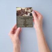 Cattery, Pet Boarding Service, Adverteren Flyer (Hand)