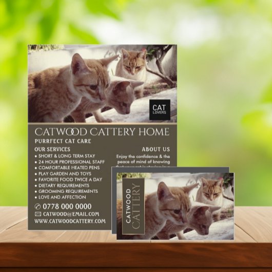 Cattery, Pet Boarding Service, Adverteren Flyer