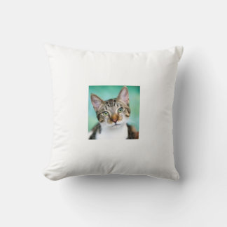 CatThrow Pillow Kussen
