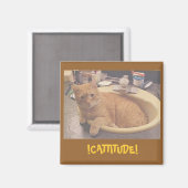 !CATTITUDE!, (Of waarom ik niet kan schoonmaken) M Magneet (Voorkant / Achterkant)