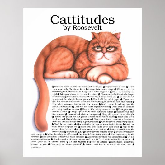 Cattitudes Poster (Voorkant)