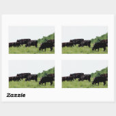 Cattle Black Angus Rechthoekige Sticker (Vel)