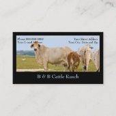 Cattle Boerderij Ranch Visitekaartje (Voorkant)