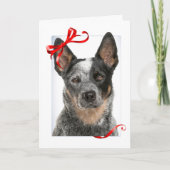 Cattle Dog Christmas Kaart (Voorkant)