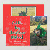 Cattle Dog Kerstwensen Feestdagenkaart (Voorkant / Achterkant)