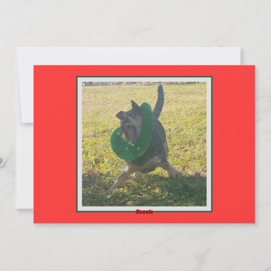 Cattle Dog Kerstwensen Feestdagenkaart (Achterkant)